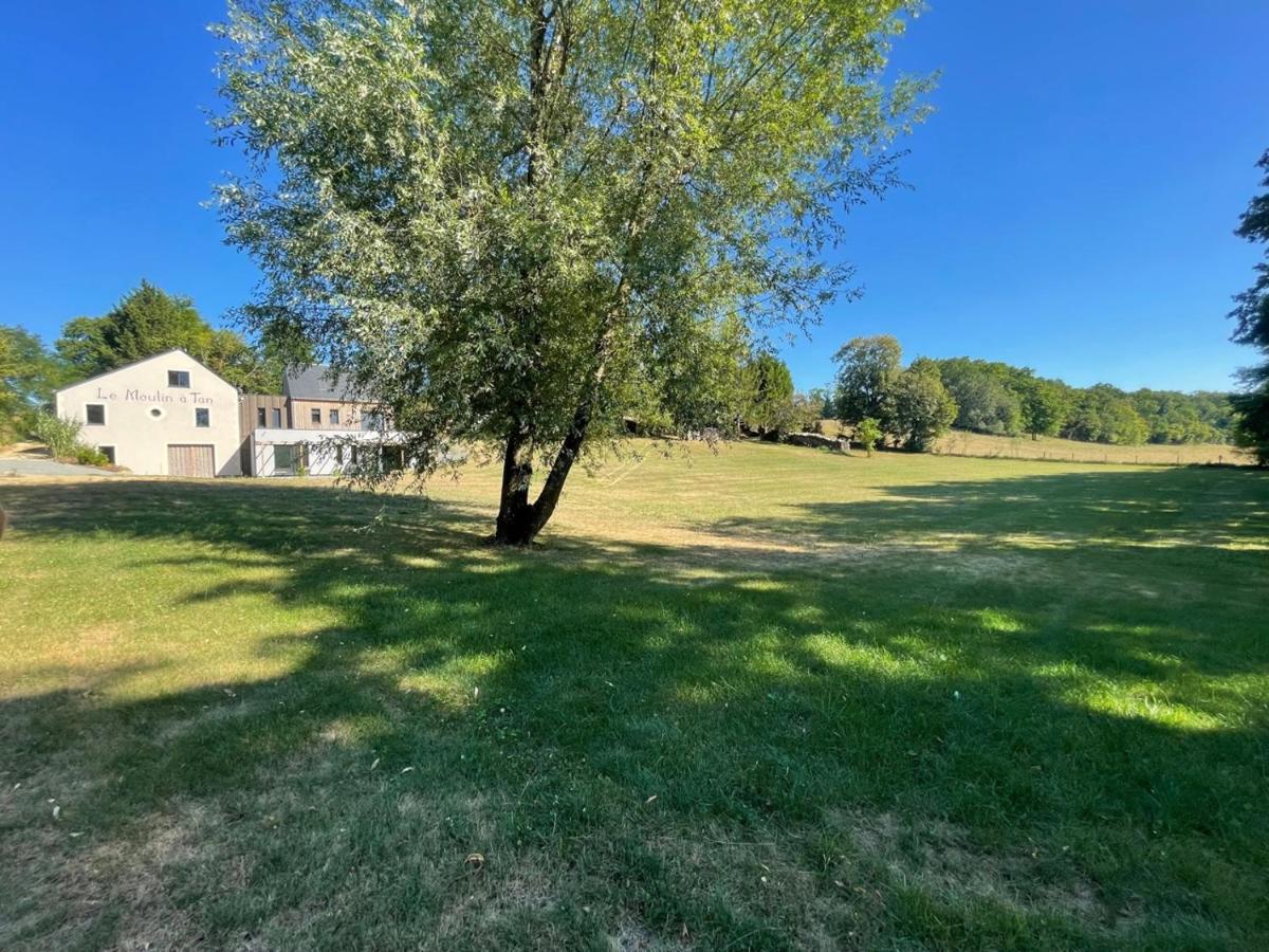 Gites Du Moulin A Tan A Sache 37 Экстерьер фото